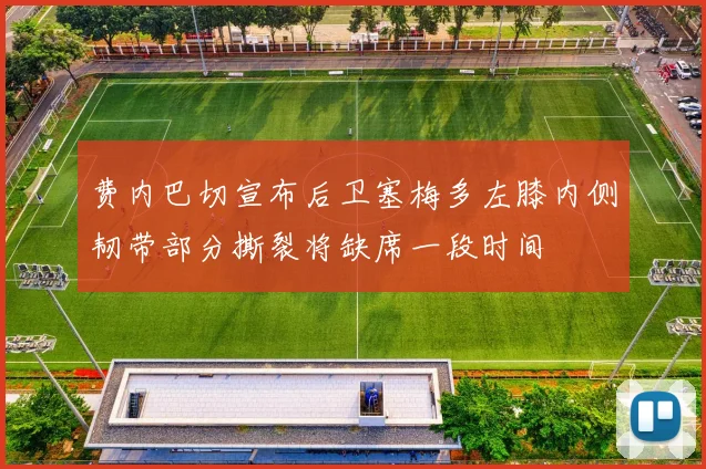 费内巴切宣布后卫塞梅多左膝内侧韧带部分撕裂将缺席一段时间