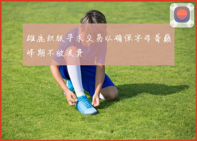 雄鹿积极寻求交易以确保字母哥巅峰期不被浪费