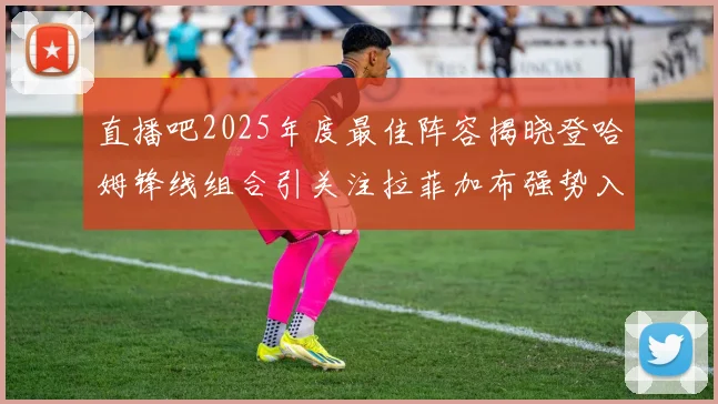直播吧2025年度最佳阵容揭晓登哈姆锋线组合引关注拉菲加布强势入选