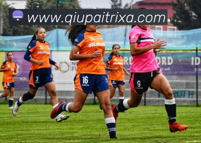 球派体育品牌故事